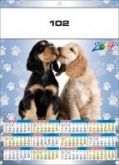 cachorros